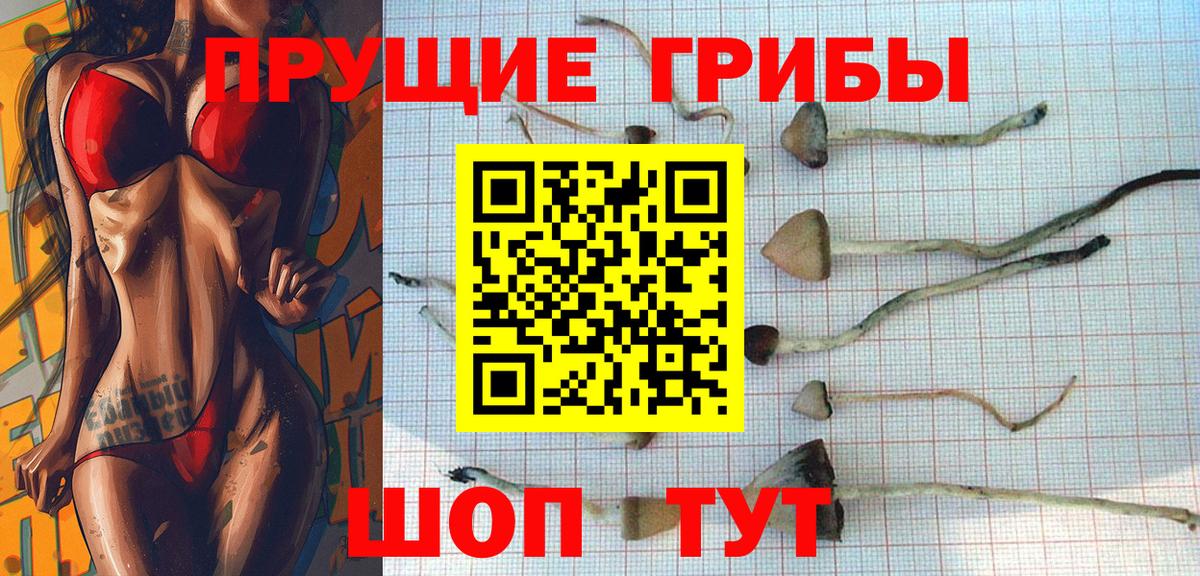 Нижнеудинск  Галлюциногенные грибы мухоморы  Вход с VPN 